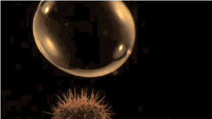 In this example, we load a GIF that shows a soap bubble bursting on a cactus. We select the horizontal flip mode, which creates a mirrored GIF with respect to the vertical y-axis. All of the 70 GIF frames are individually flipped from left to right and after they are joined together again, they produce a horizontally flipped animation. (Source: Giphy.)