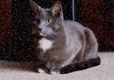 This example adds random color errors to an animation of a cat resting on a carpet. The "Random Color Noise" mode picks random colors from the entire color spectrum and replaces random pixels in all thirty frames of the GIF animation. In each frame, 8% of the pixels become multicolored and it gives the GIF a flicker effect. (Source: Pexels.)