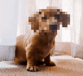 In this example, we want to preserve the cute puppy's anonymity so we hide her face by drawing a pixel cloud over it. The pixel cloud's roughness is set to 10, which means that the pixelated area of size 180×120 turns into 18×12 = 216 individual larger pixels. (Source: Pexels.)