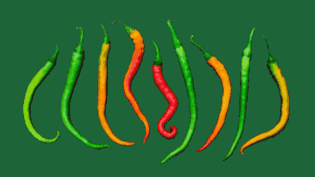 In this example, we replace the GIF background color of animated dancing chili peppers. The original background is gray (hex code #454444) and we change it to green (hex code #1D6438). We also expand the range of gray pixels by setting the fuzzy shade score to 13. This score matches 13% of similar shades of gray color. (Source: Pexels.)