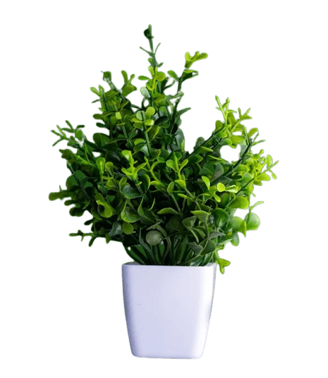 In this example, we convert a transparent PNG sticker of a plant into a transparent GIF sticker. To achieve this, we first enable the GIF transparency option and set red as the transparency index color. Red is a safe choice for the key color as the original PNG doesn't contain any red shades. The tool then fills the PNG background and all other transparent regions between the leaves with this red color. Finally, during the encoding step, it marks this color as the transparent color in the GIF file. (Source: Pexels.)