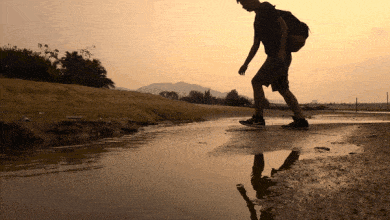 In this example, the input GIF has captured a moment of an adventurous boy jumping over a puddle. We apply the boomerang effect to the GIF and get the boy jumping over the puddle back and forth. To make the animation more lively, we double the playback speed and at the same time add the slow-down effect to the middle of the boomerang. The slow-down effect linearly decreases the framerate of the video animation starting from the middle and then increases it again towards the end of it. We also make the boomerang go a finite number of repetitions. After 6 loops it stops. (Source: Pexels.)