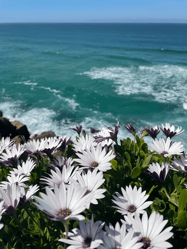 In this example, we convert a highly detailed JPG photo filled with millions of unique color pixels into a GIF limited to 256 colors. Despite the fact color depth get reduced by orders of magnitude, the resulting GIF still maintains a pretty good visual quality. However, upon closer inspection, you can notice that some of the richer purple tones in the center florets of flowers are lost due to the limited palette. (Source: Pexels.)