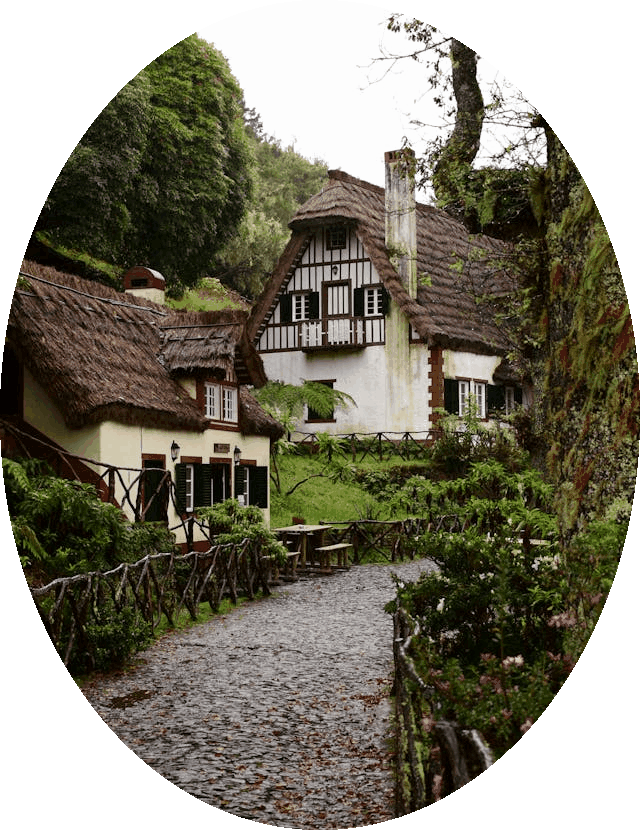 This example uses a static vertical GIF photo of a peaceful village trail surrounded by nature. Since the original GIF is tall and narrow, we adjust the horizontal and vertical diameters to different values. This creates an oval-shaped cutout instead of a circle. The final shape measures 640 pixels wide and 830 pixels tall, forming an elongated, rounded shape that matches the photo's proportions. (Source: Pexels.)