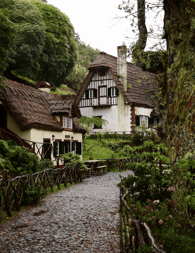 This example uses a static vertical GIF photo of a peaceful village trail surrounded by nature. Since the original GIF is tall and narrow, we adjust the horizontal and vertical diameters to different values. This creates an oval-shaped cutout instead of a circle. The final shape measures 640 pixels wide and 830 pixels tall, forming an elongated, rounded shape that matches the photo's proportions. (Source: Pexels.)