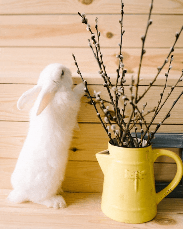 In this example, we create an opaque GIF image from a high-resolution photo of a rabbit in PNG format. Unlike PNG, which supports millions of colors, the GIF format uses an indexed color palette limited to 256 entries (8-bit colors). To generate an opaque GIF, we disable transparency entirely and perform palette quantization, which reduces the full RGB color space of the PNG to a maximum of 256 selected colors. This optimized color palette minimizes visual differences, making the lossy color reduction almost invisible. (Source: Pexels.)