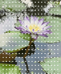 In this example, we use the regular full stop characters to create an unusual digital dot effect on a GIF animation. We cover the entire frame area with white dots having 10% transparency (α = 0.9). We use the browser's default monospace font with a size of 24 pixels and a line height of 16 pixels. (Source: Pexels.)
