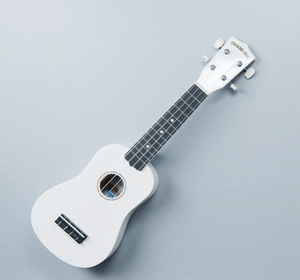 In this example, we add a similar tone noise to a GIF animation of a white ukulele. We set the noise level to 80%, which means that every pixel in the frame has an 80% chance of changing its color. The mode of similar colors changes a pixel's shade only slightly (for example, an RGB color (20, 40, 60) might change to (25, 38, 55)), therefore, even with the maximum noise strength (100%), the animation will still look good. (Source: Pexels.)
